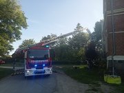 IMG20250620184549.jpg