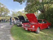 IMG20250920113115.jpg